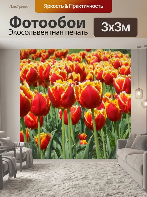 Фотообои Цветы