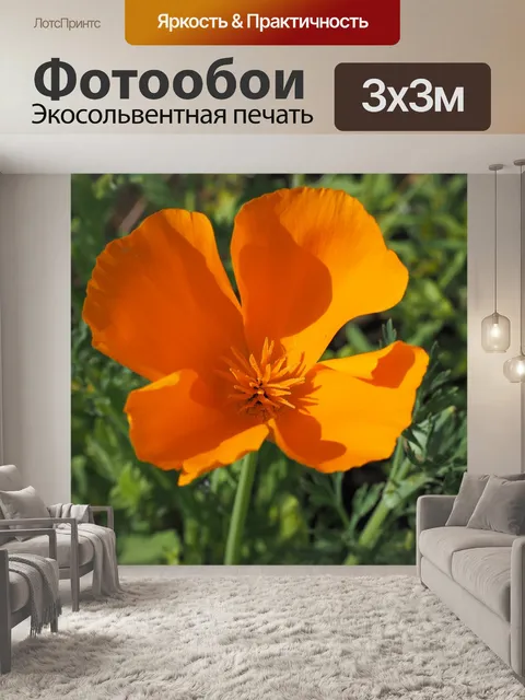 Фотообои Калифорнийский мак