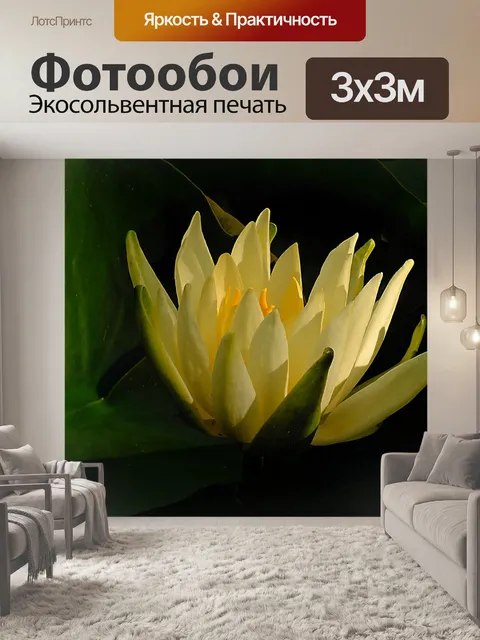Фотообои Водяная лилия