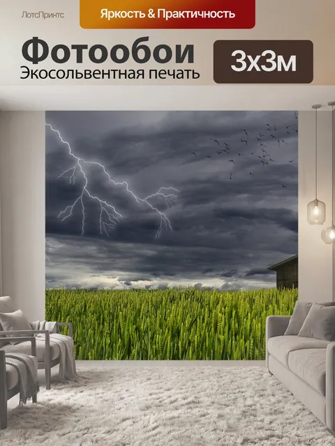Фотообои Буря