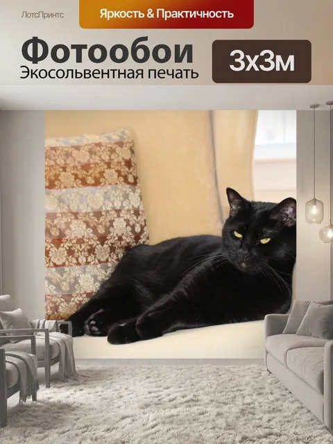 Фотообои Черная кошка