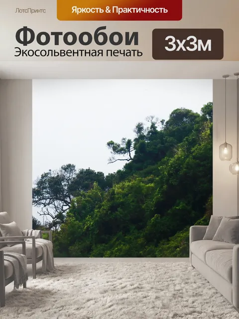 Фотообои свет на растительность на стороне дюны