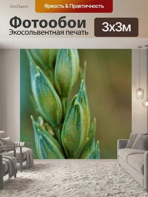Фотообои Пшеничный колос