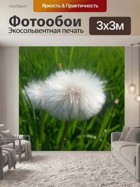 Фотообои Пушистые одуванчики