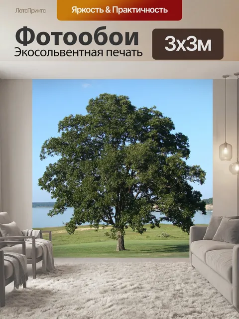 Фотообои Одинокое дерево