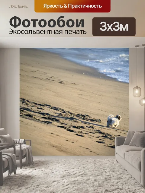 Фотообои Щенок на пляже