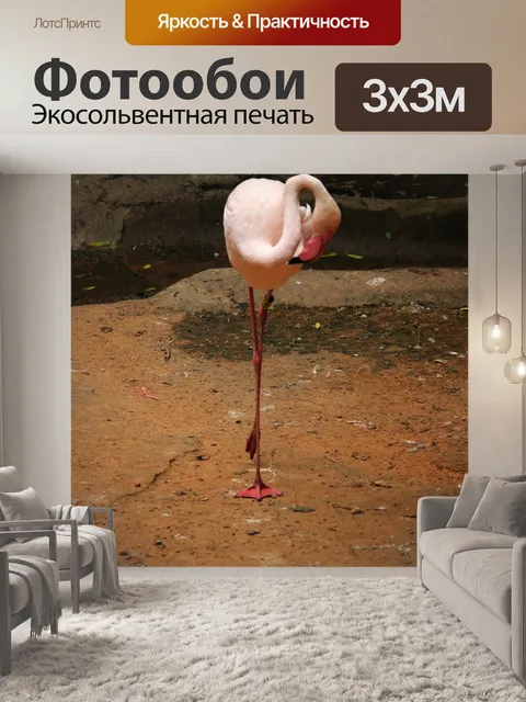 Фотообои розовый фламинго в птичьем парке