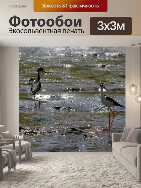 Фотообои Черная шея сваях птица