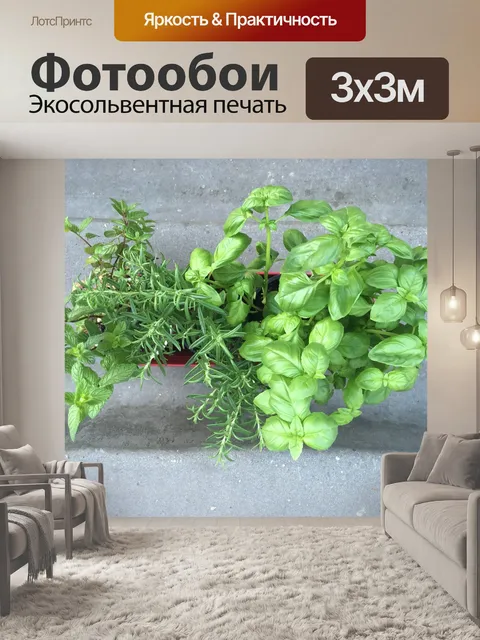 Фотообои Бэзил