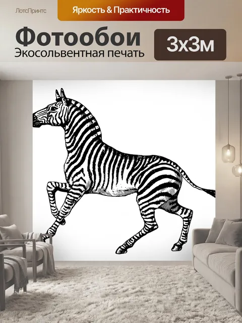 Фотообои Винтажная иллюстрация зебры