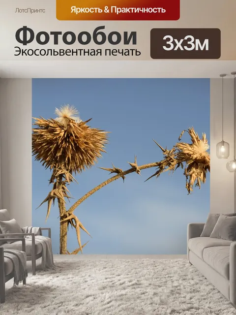 Фотообои Чертополох
