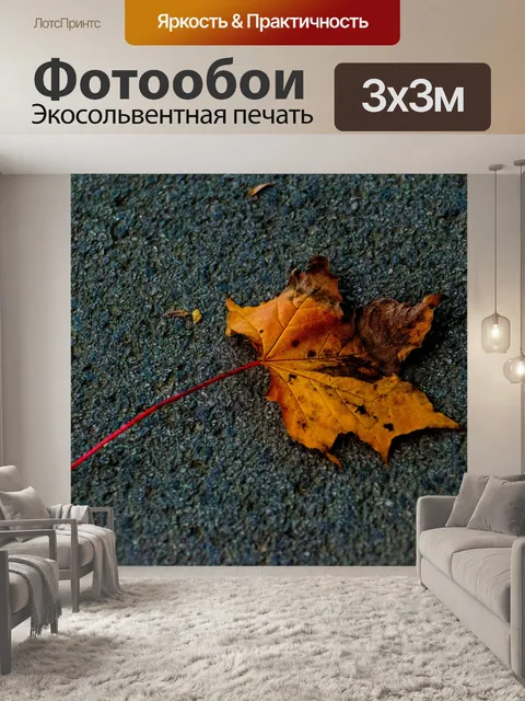 Фотообои Осенний лист