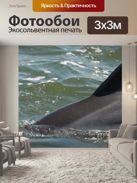Фотообои Дельфин в дикий