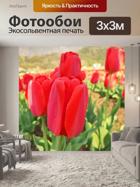 Фотообои Цветы