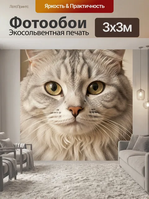 Фотообои Пушистый серый кот крупным планом