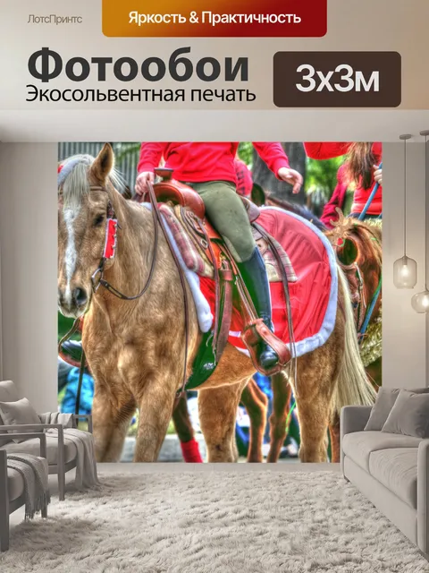 Фотообои Парадная лошадь