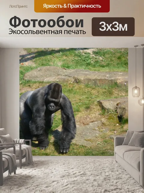 Фотообои Сильвербэк горилла