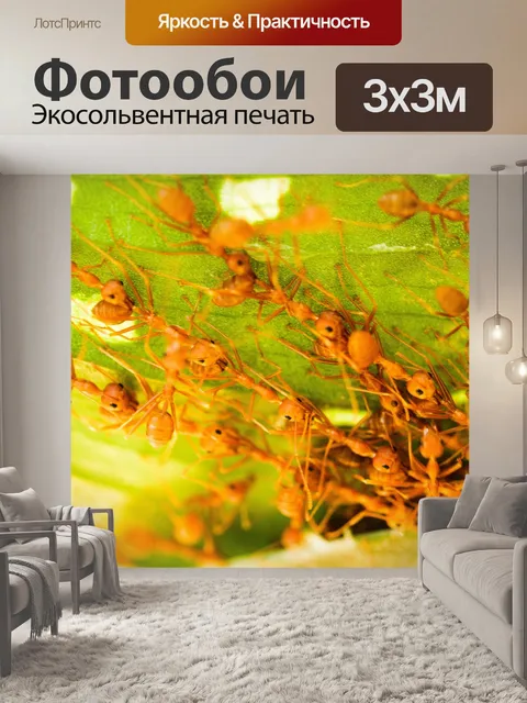 Фотообои Красные муравьи