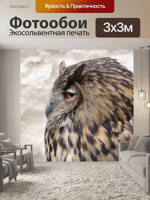 Фотообои Птица