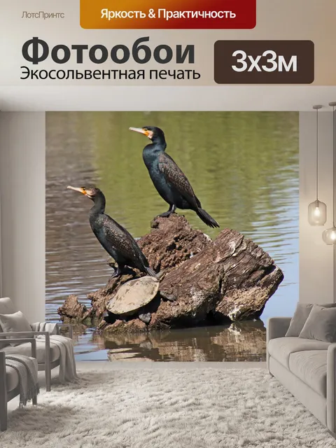 Фотообои Птицы