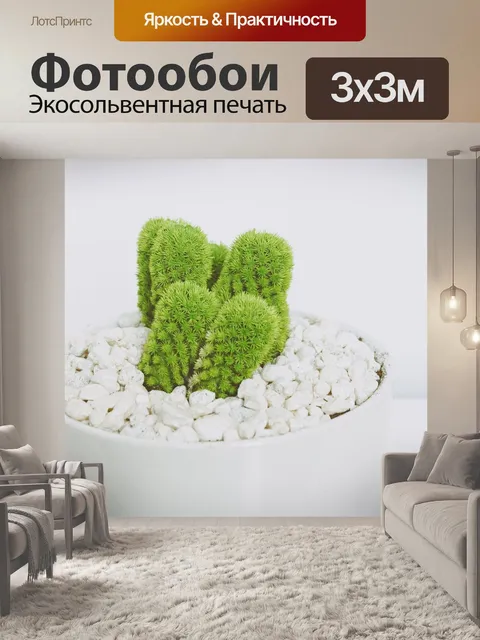 Фотообои Предмет