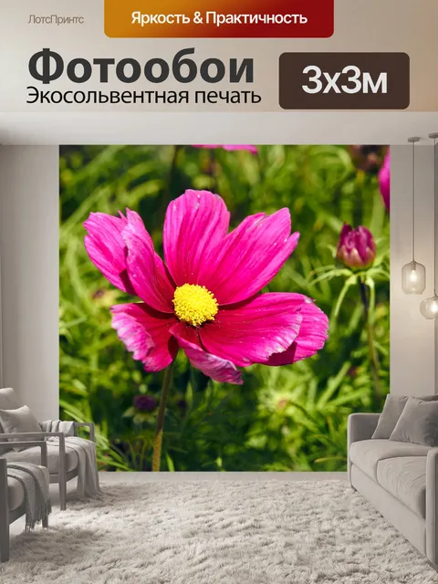 Фотообои Космос космоса цветов