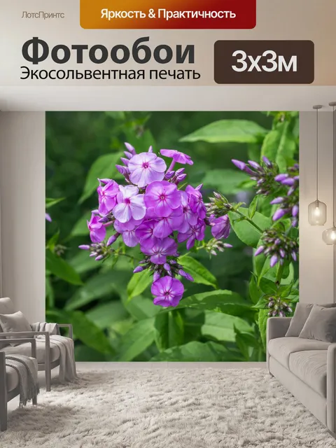 Фотообои флокс