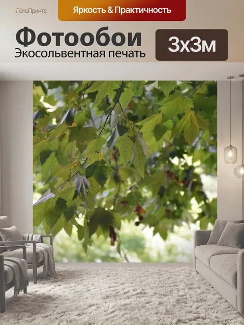 Фотообои Осень