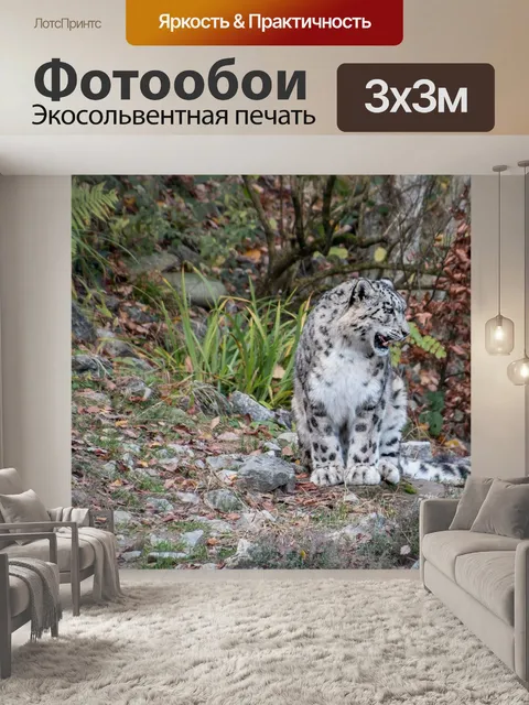 Фотообои Снежный барс