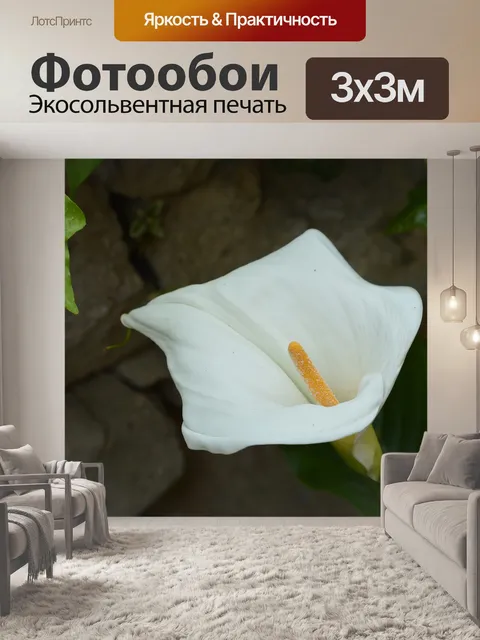 Фотообои Природа