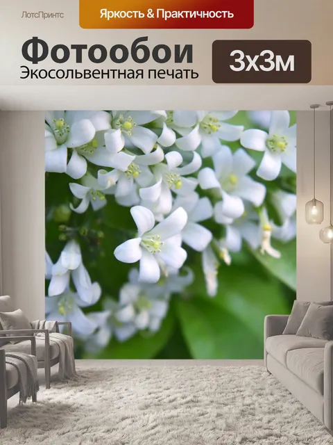 Фотообои Белые маленькие цветы 3