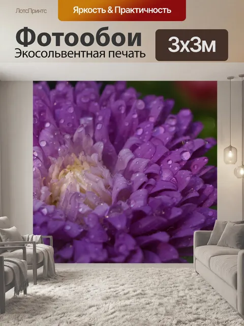 Фотообои Фиолетовый цветок