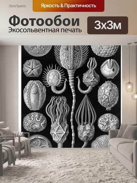 Фотообои Старинный старый Эрнст Геккель