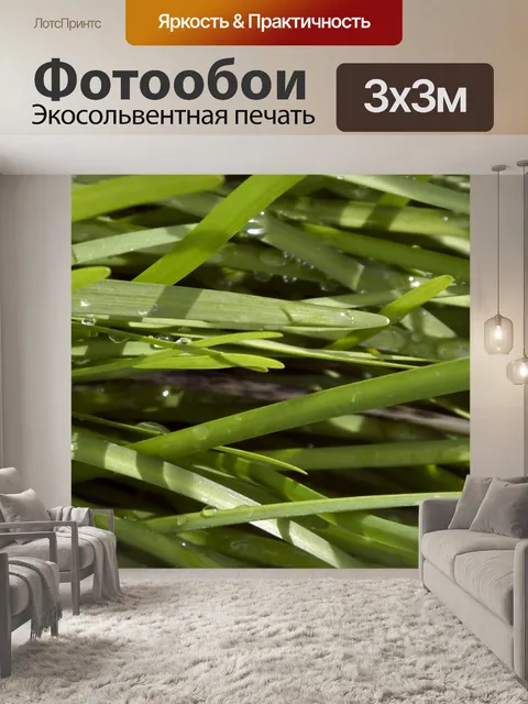 Фотообои Роса падает на траву