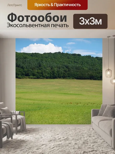 Фотообои Лес