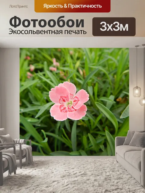 Фотообои Цветы