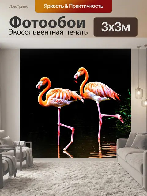 Фотообои темный фон, фламинго, стоящие на одной ноге и отражающиеся в спокойной воде
