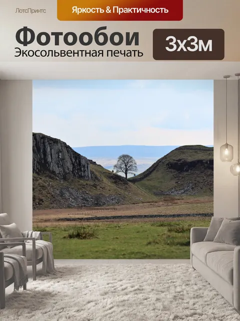 Фотообои Платановое дерево