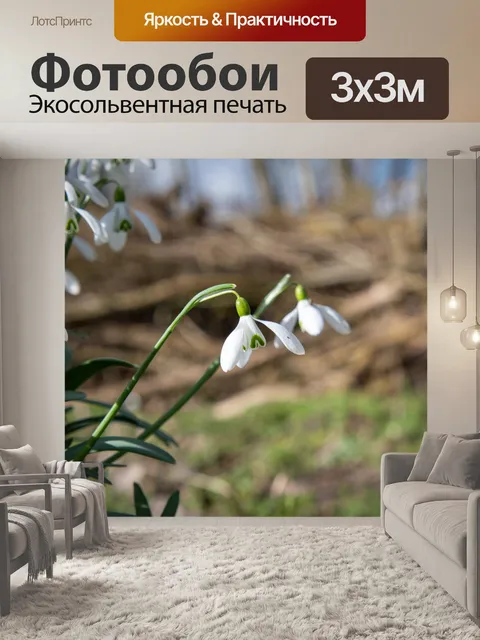 Фотообои Подснежники, белые цветы