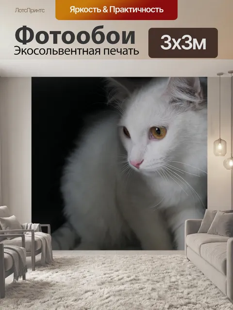 Фотообои Кот