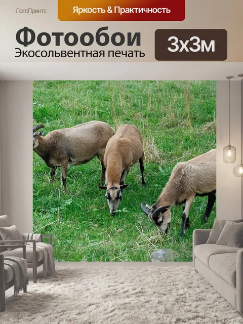 Фотообои Трио