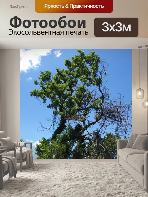 Фотообои высокое тощее дерево на фоне голубого не