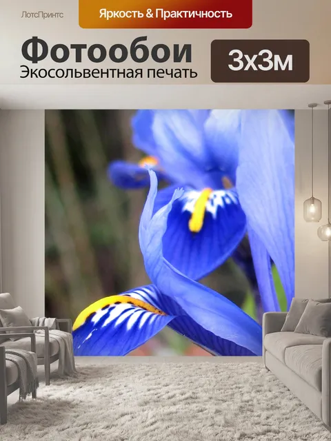 Фотообои Ирис