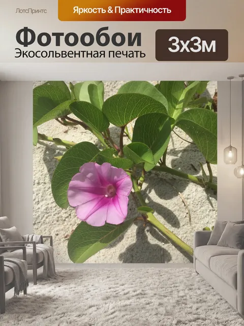 Фотообои Пляж