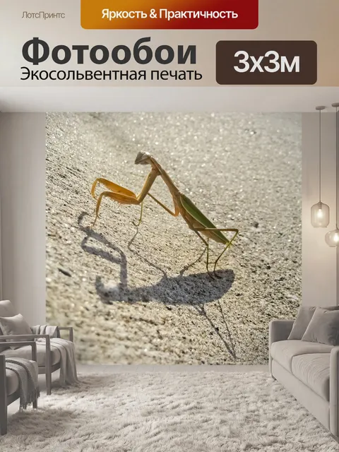 Фотообои Ешь, молись, богомол