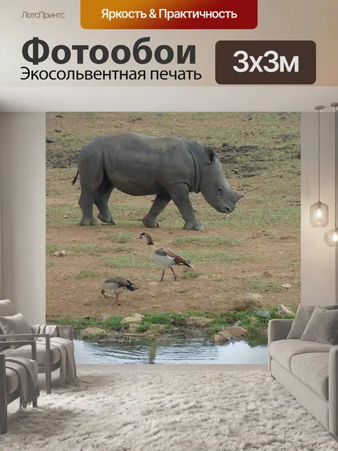 Фотообои Южная африка