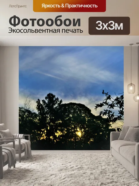 Фотообои Солнце за деревом