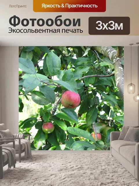 Фотообои Яблоко