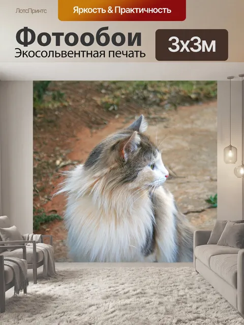 Фотообои Профиль тряпичной куклы кошки