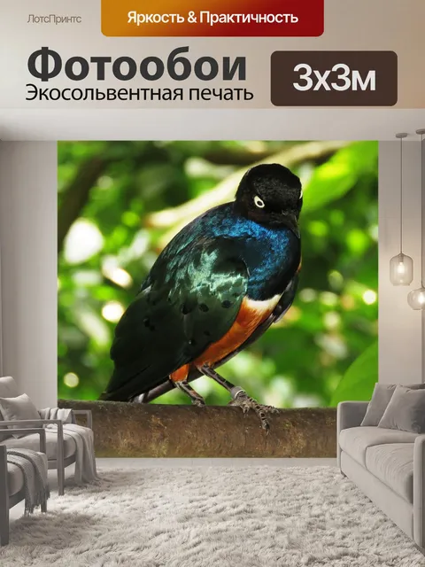 Фотообои Сияющая птица